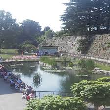 images (2)